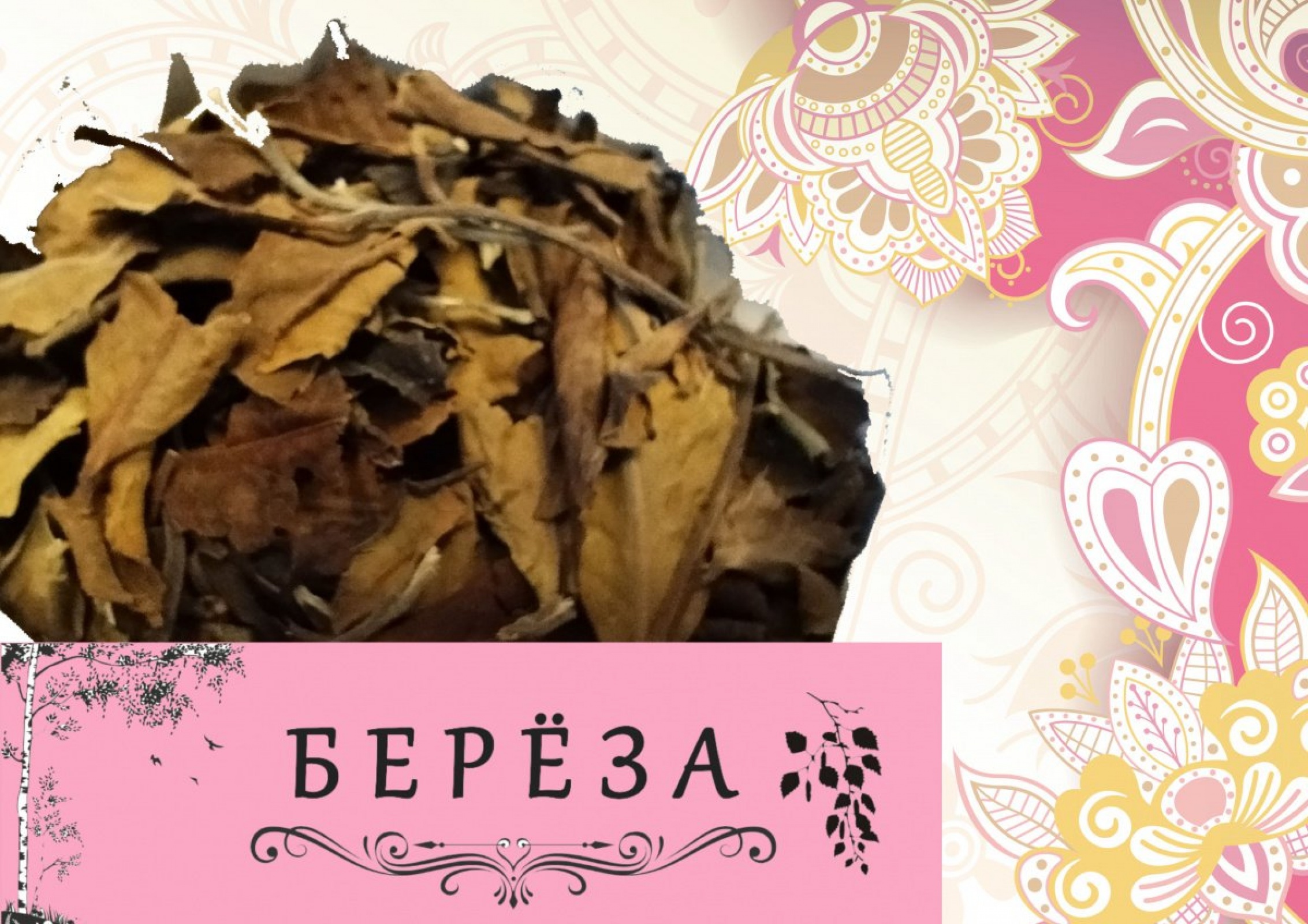 БЕРЁЗА