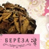 БЕРЁЗА