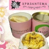 ХРИЗАНТЕМА