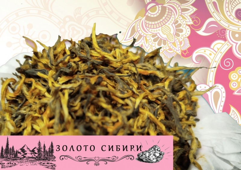 ЗОЛОТО СИБИРИ
