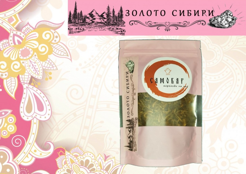 ЗОЛОТО СИБИРИ