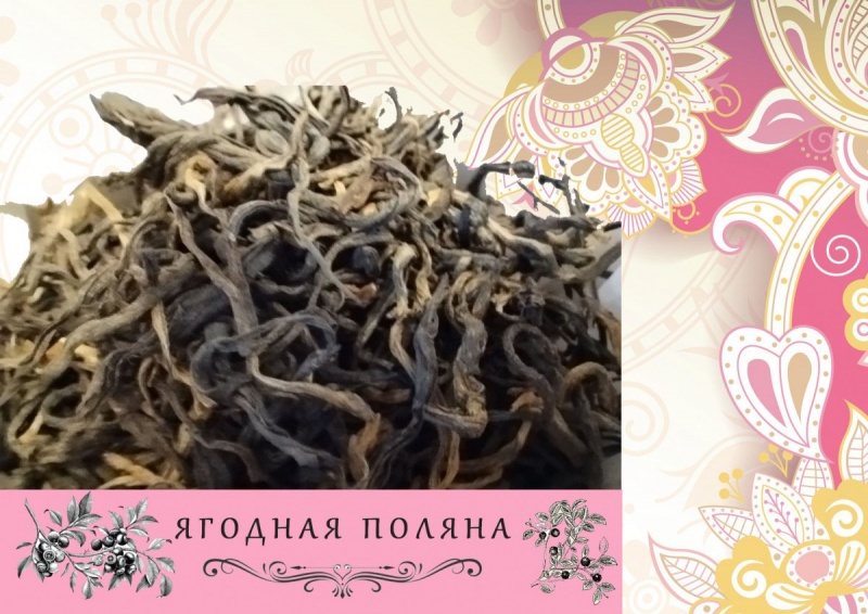 ЯГОДНАЯ ПОЛЯНА