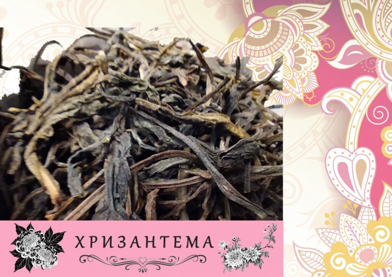 ХРИЗАНТЕМА
